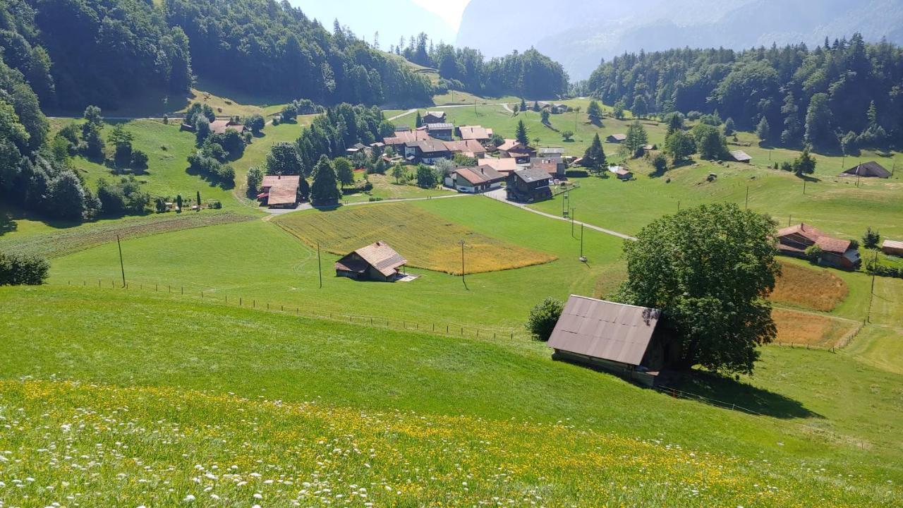 Chalet Bruenig Meiringen Ngoại thất bức ảnh