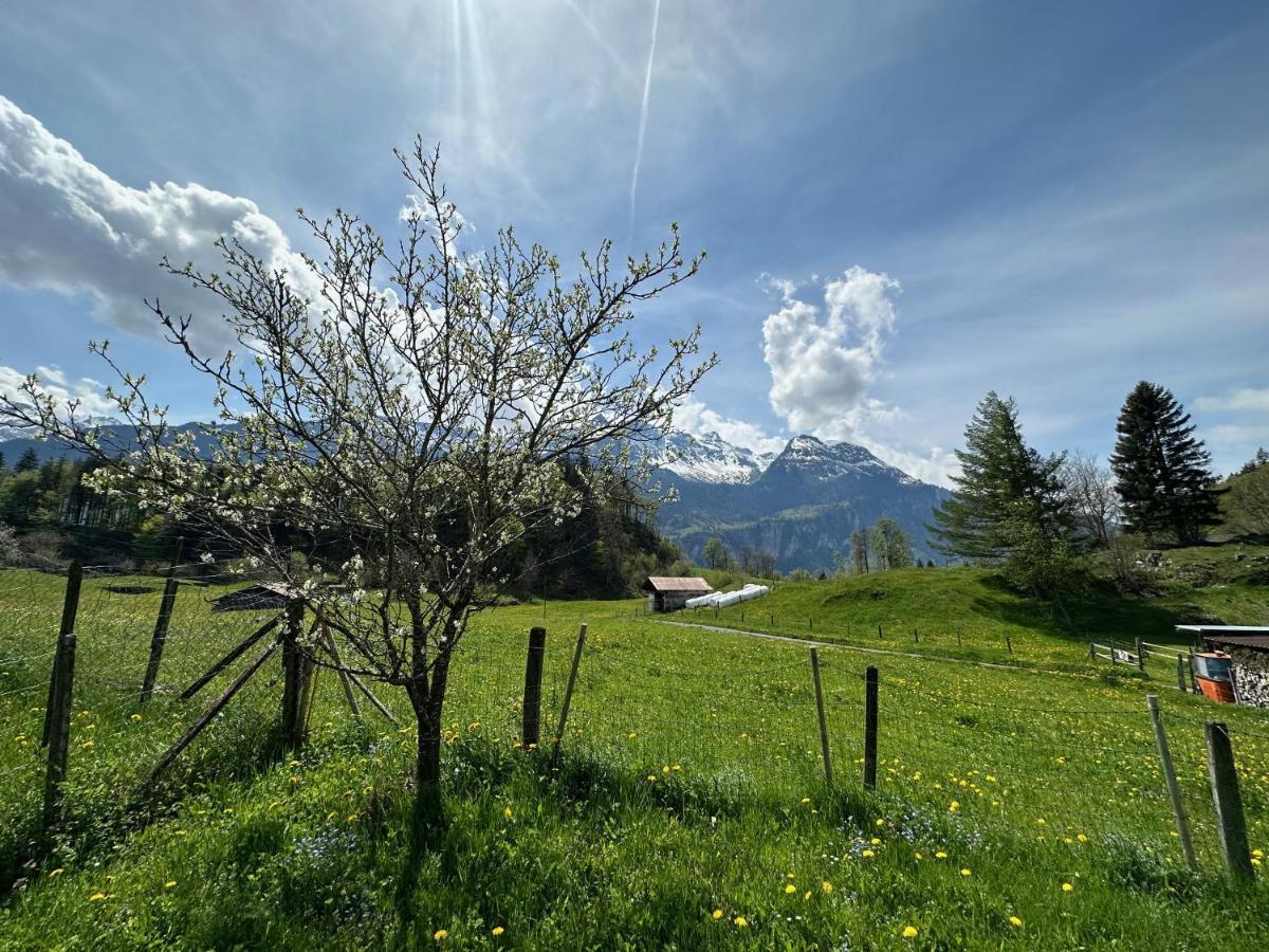 Chalet Bruenig Meiringen Ngoại thất bức ảnh