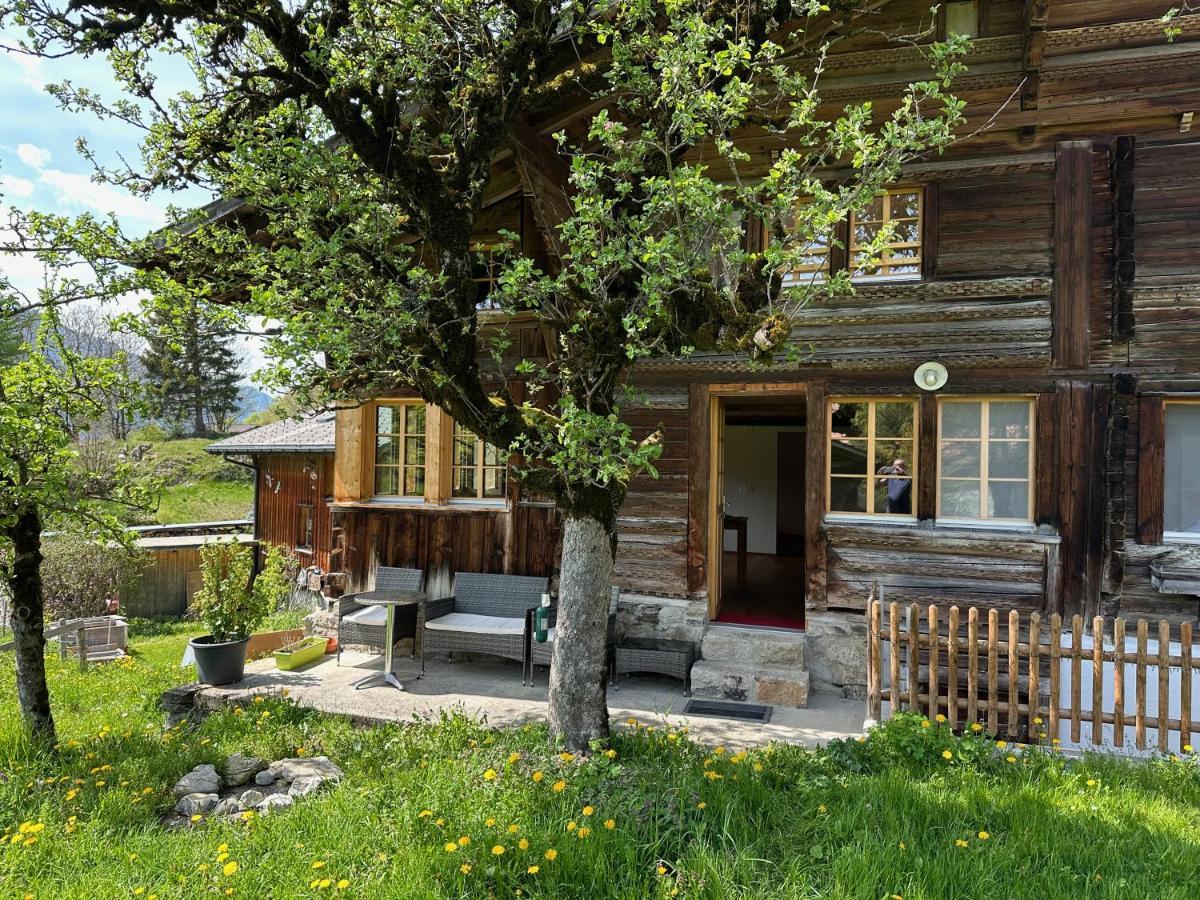 Chalet Bruenig Meiringen Ngoại thất bức ảnh