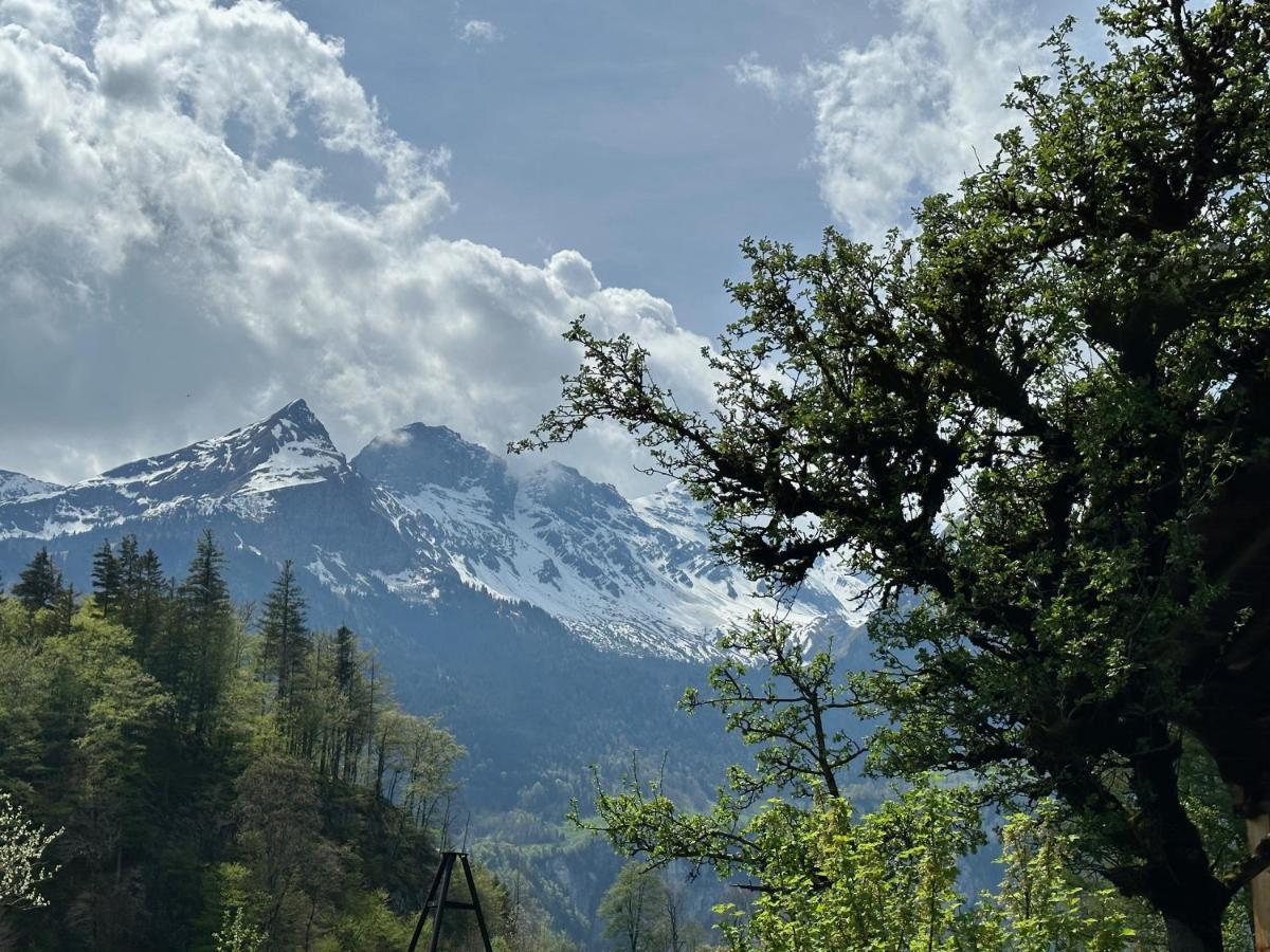 Chalet Bruenig Meiringen Ngoại thất bức ảnh