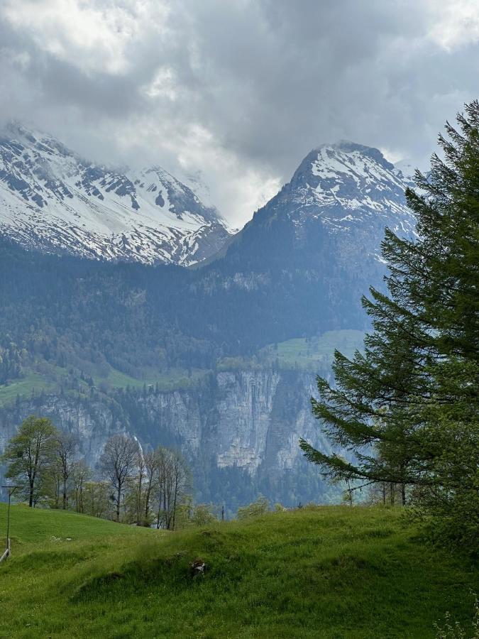 Chalet Bruenig Meiringen Ngoại thất bức ảnh