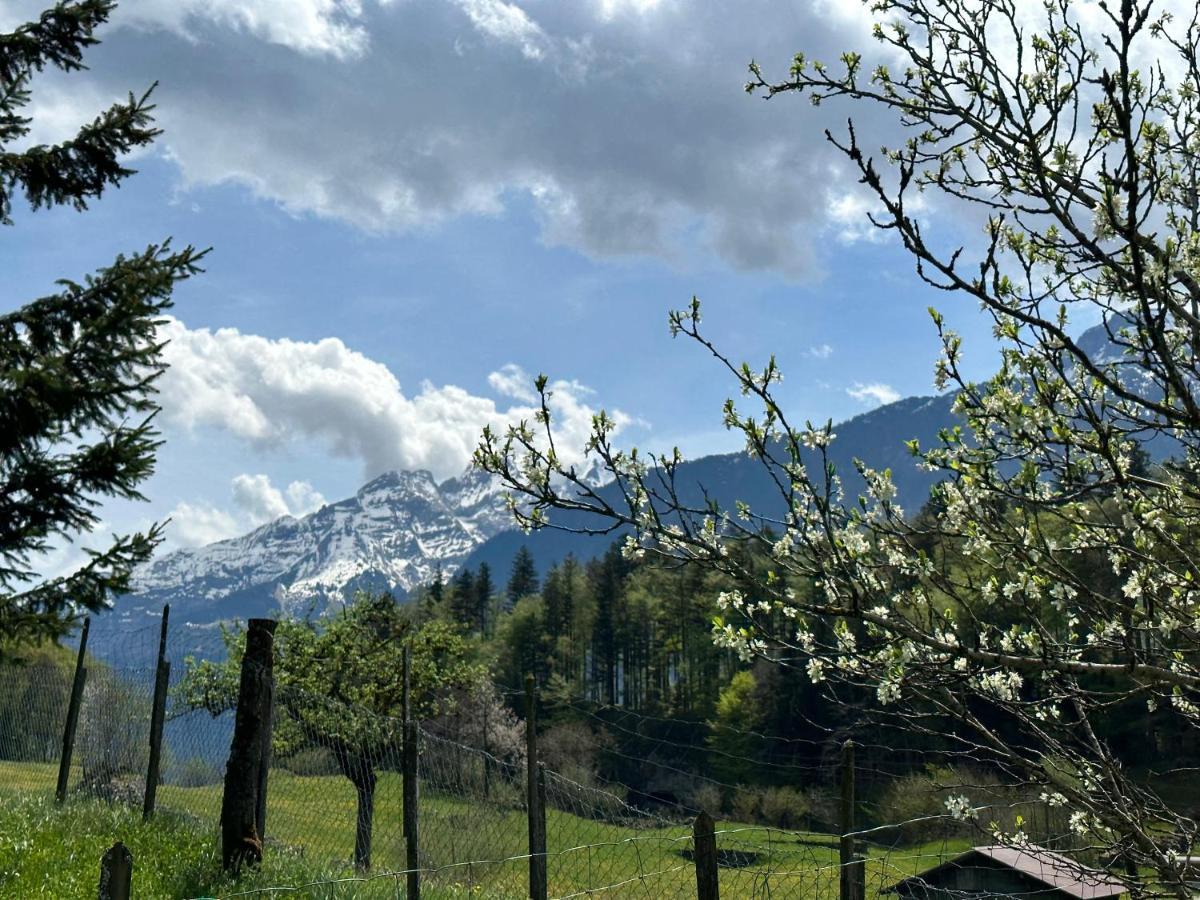 Chalet Bruenig Meiringen Ngoại thất bức ảnh