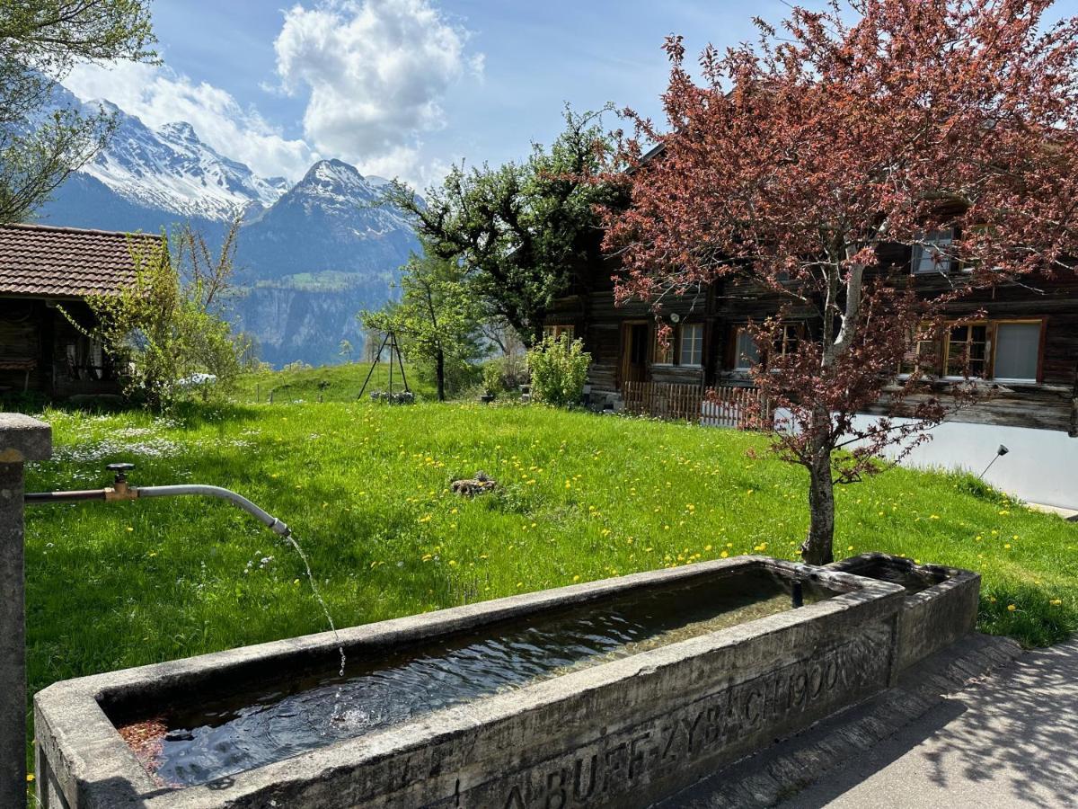 Chalet Bruenig Meiringen Ngoại thất bức ảnh