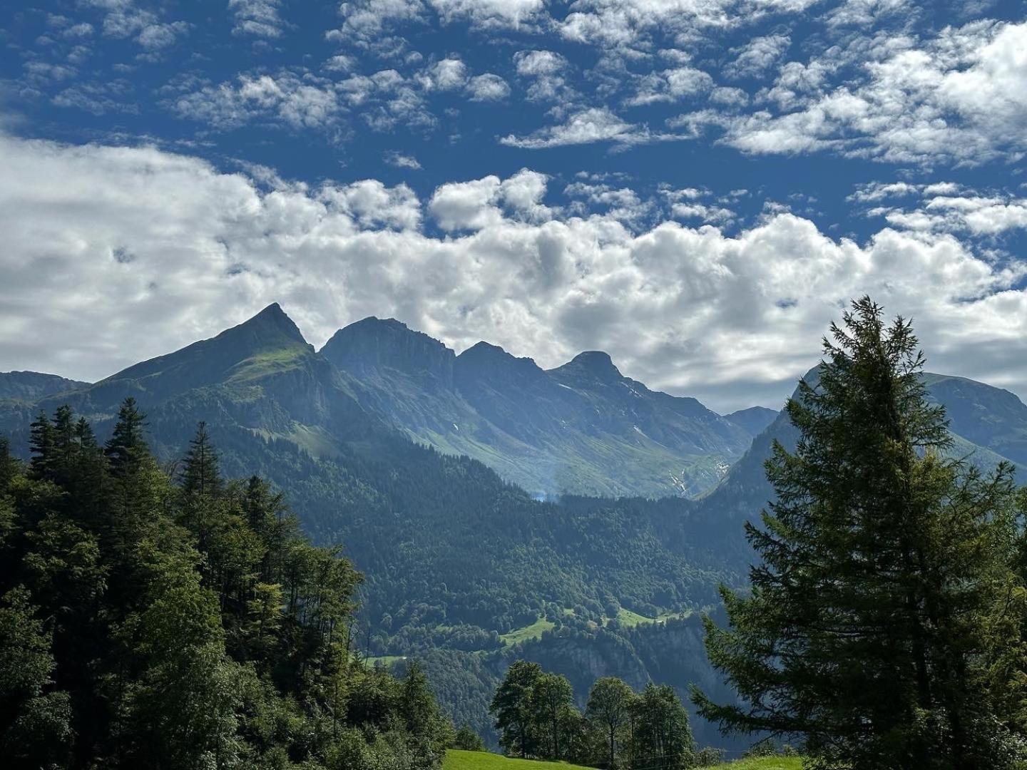 Chalet Bruenig Meiringen Ngoại thất bức ảnh