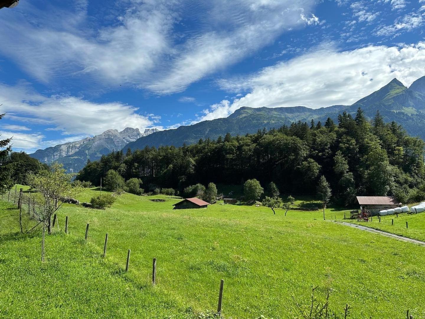 Chalet Bruenig Meiringen Ngoại thất bức ảnh